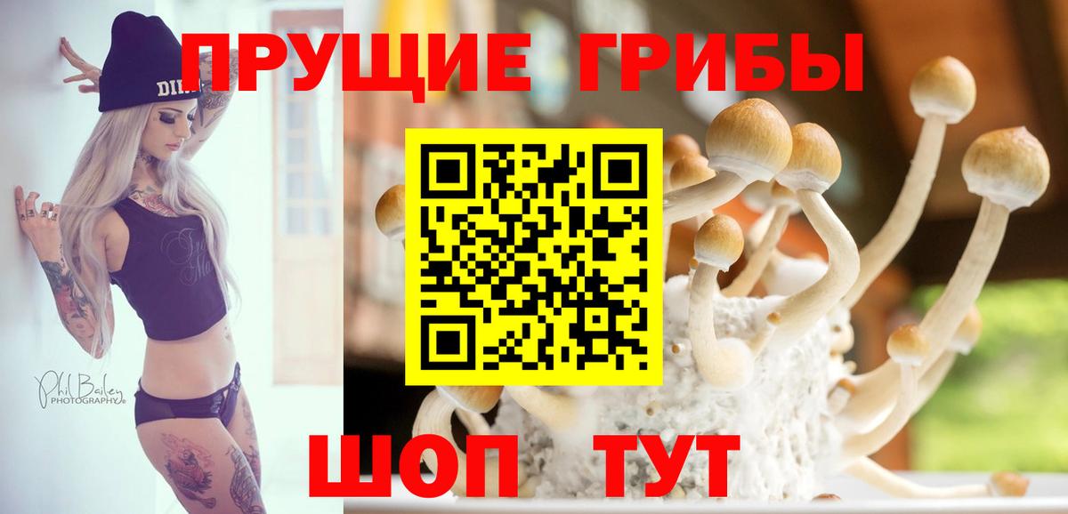 Галлюциногенные грибы Cubensis  закладки  Азнакаево  Псилоцибиновые грибы мицелий  Вход с VPN 
